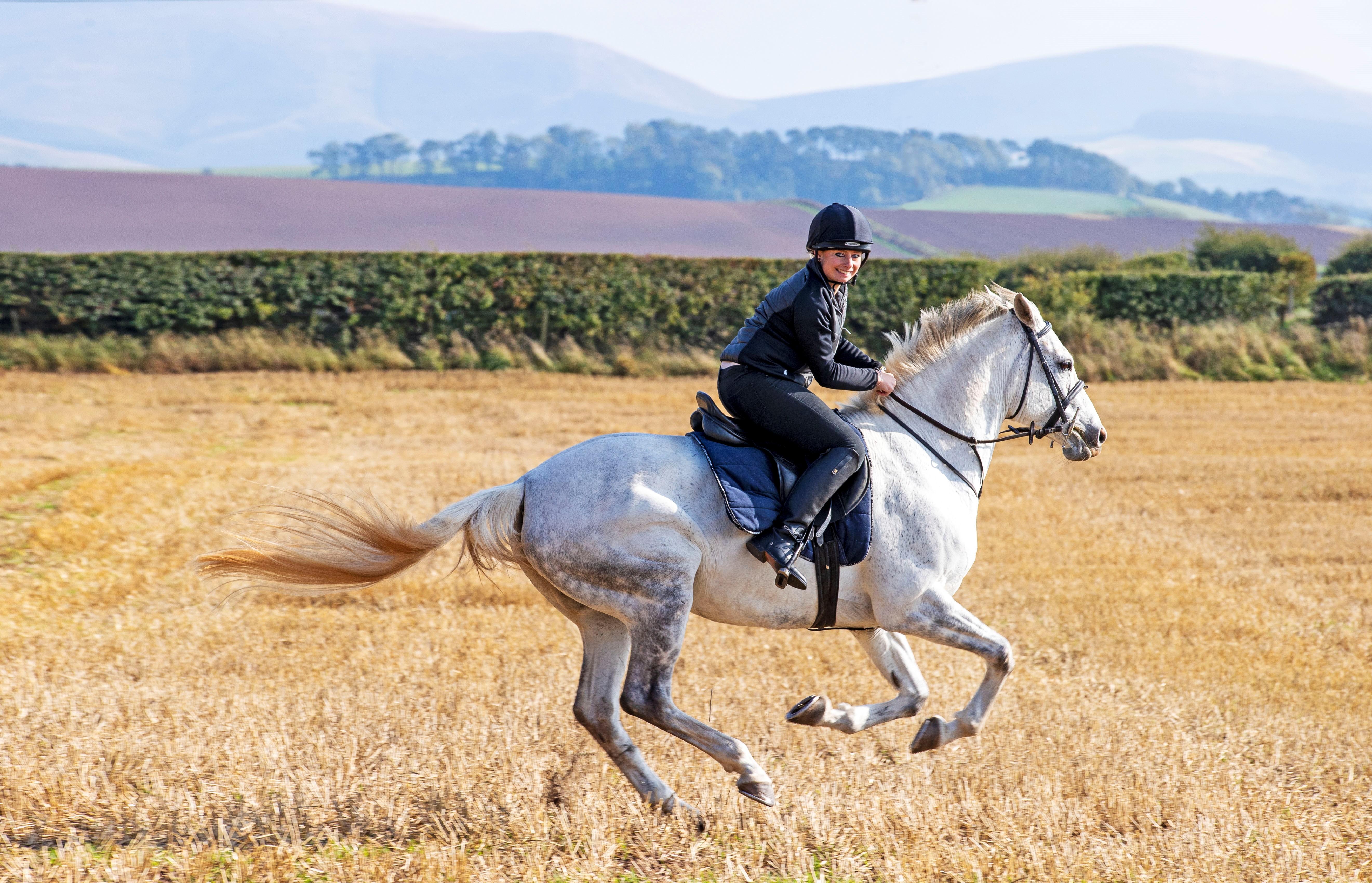 Schloss Roxburghe, Part Of Destination By Hyatt Exterior photo A rider on a purebred Spanish horse